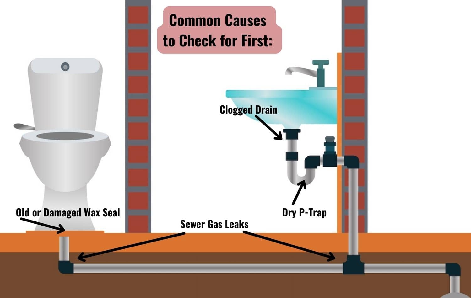 Visual of common causes for bathroom sewage smells
