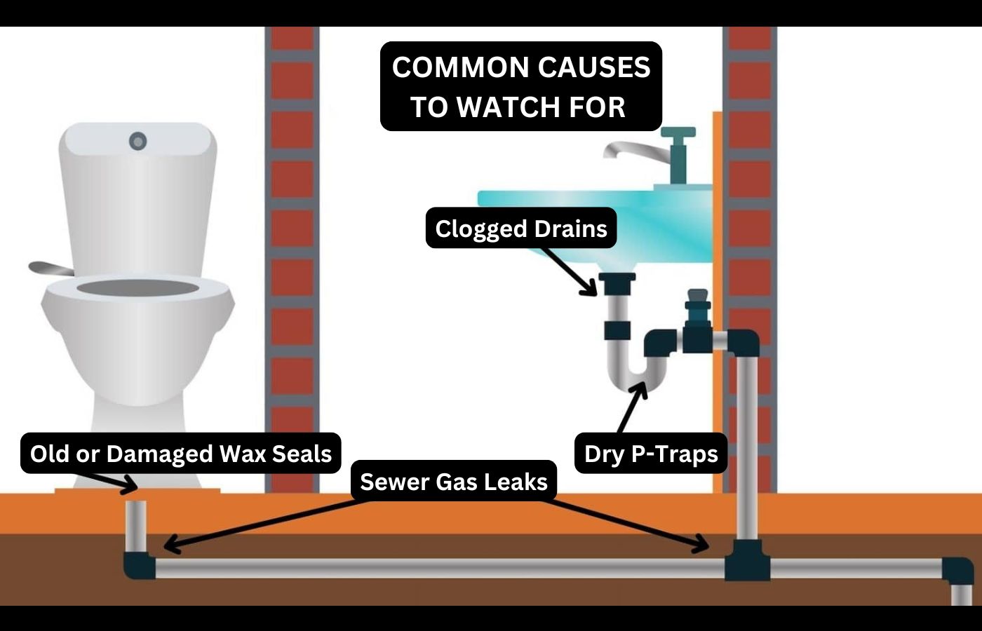 Visual of common causes for bathroom sewage smells