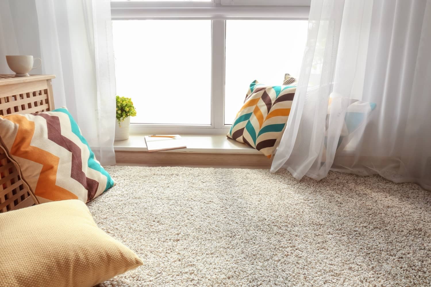 How to get mildew smell out of carpet