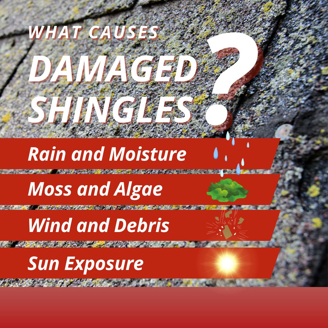 causes of shingle damage