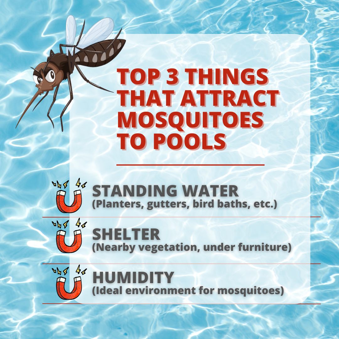 mosquito population attraction pools