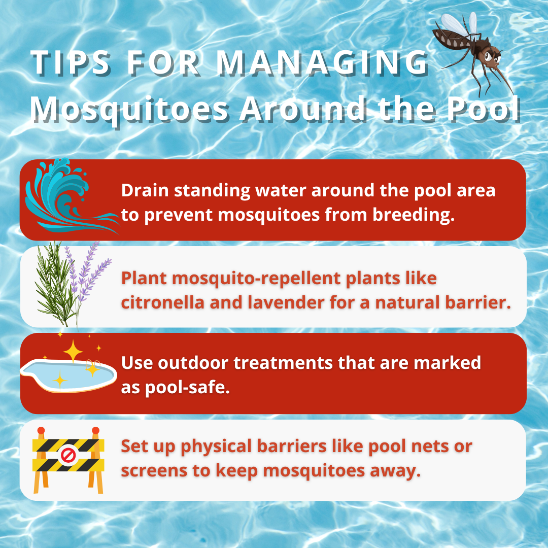 managing mosquitoes around the pool