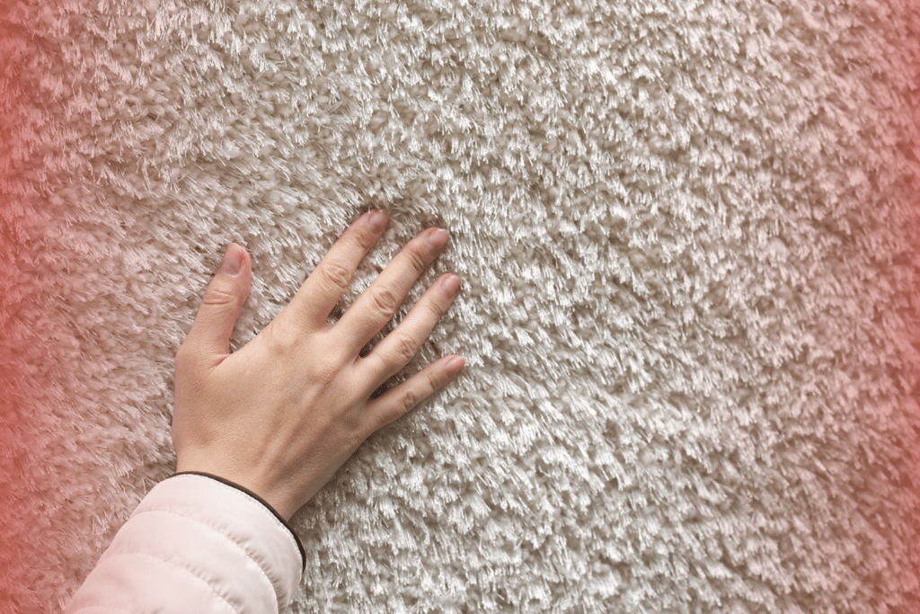 how to get mildew smell out of carpet