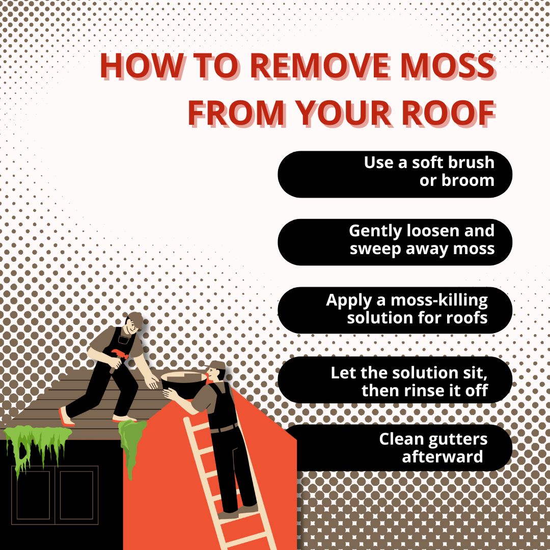 how to remove roof moss