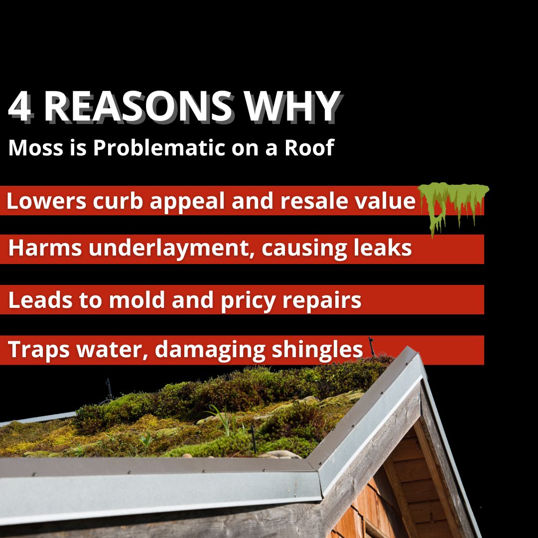 why roof moss is important to remove