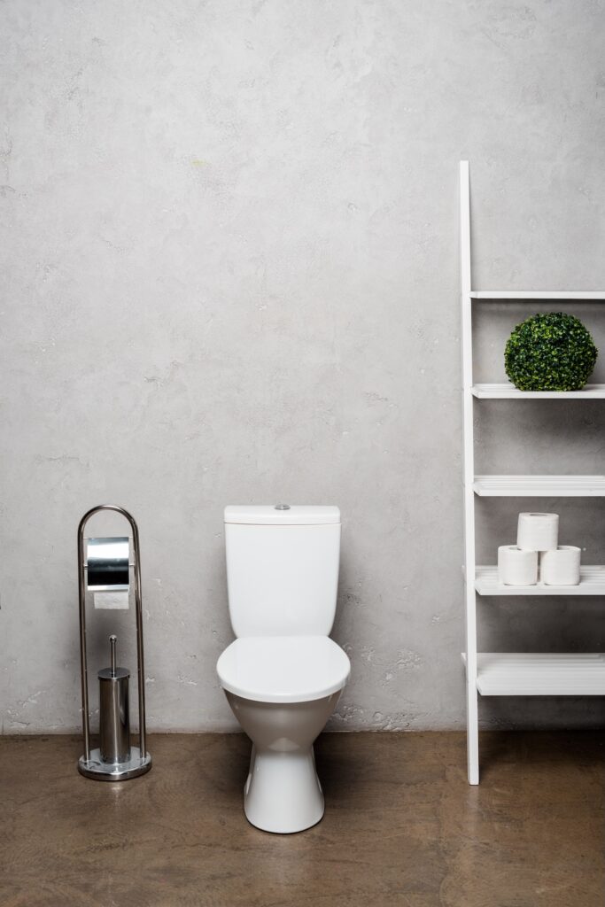 toilet inside home
