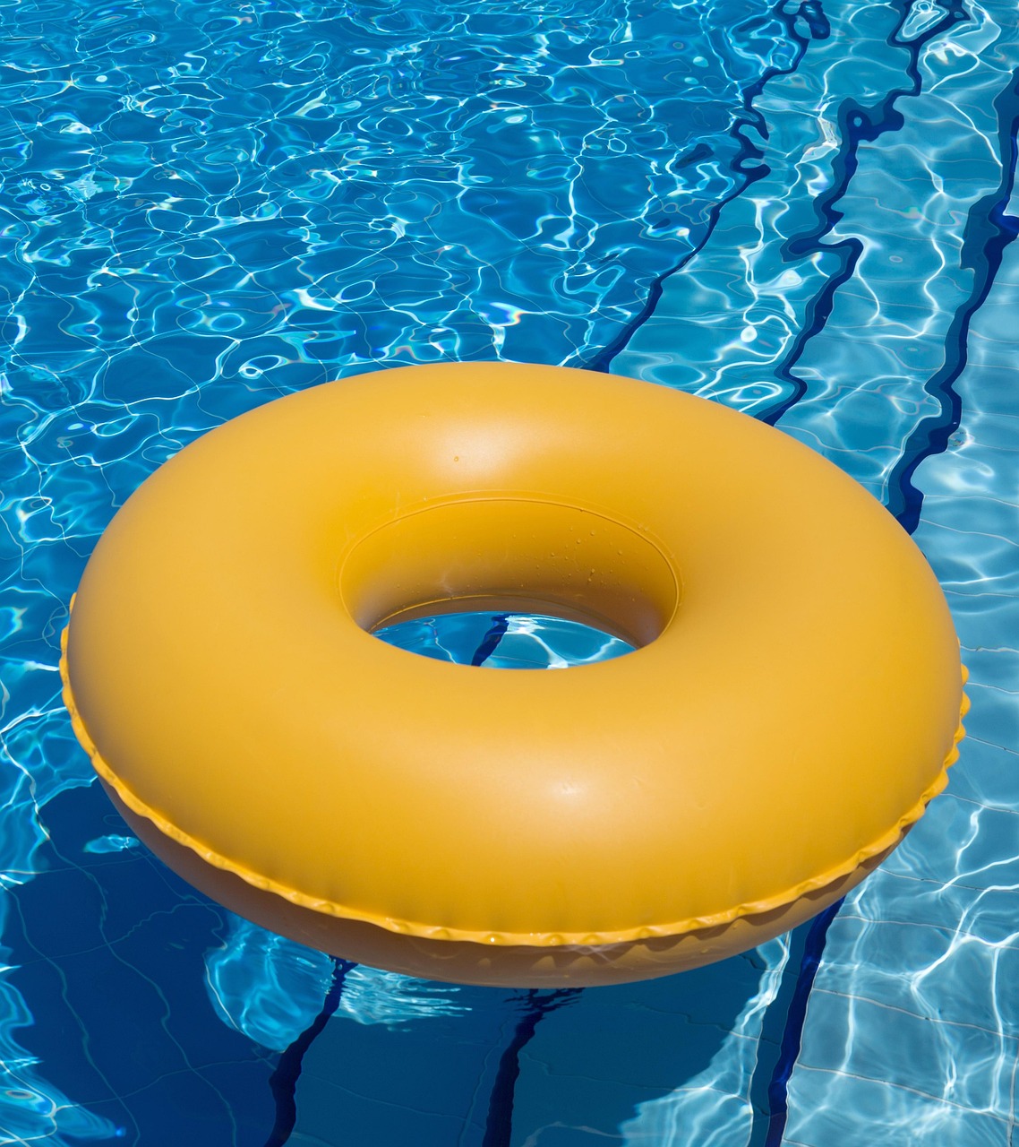 swimming pool, pool float, vacation, nature, trip, resort, pool, recreation, leisure, outdoors, summer, pool float, pool float, pool float, pool float, pool float