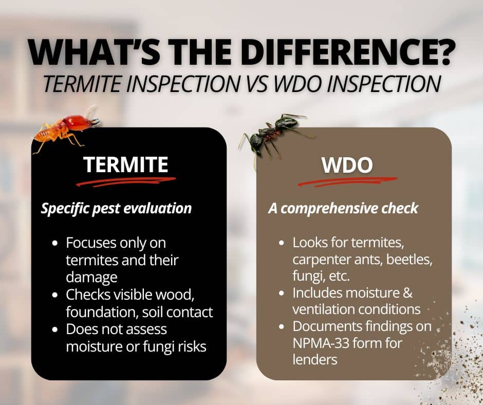 wdo inspection vs termite inspection