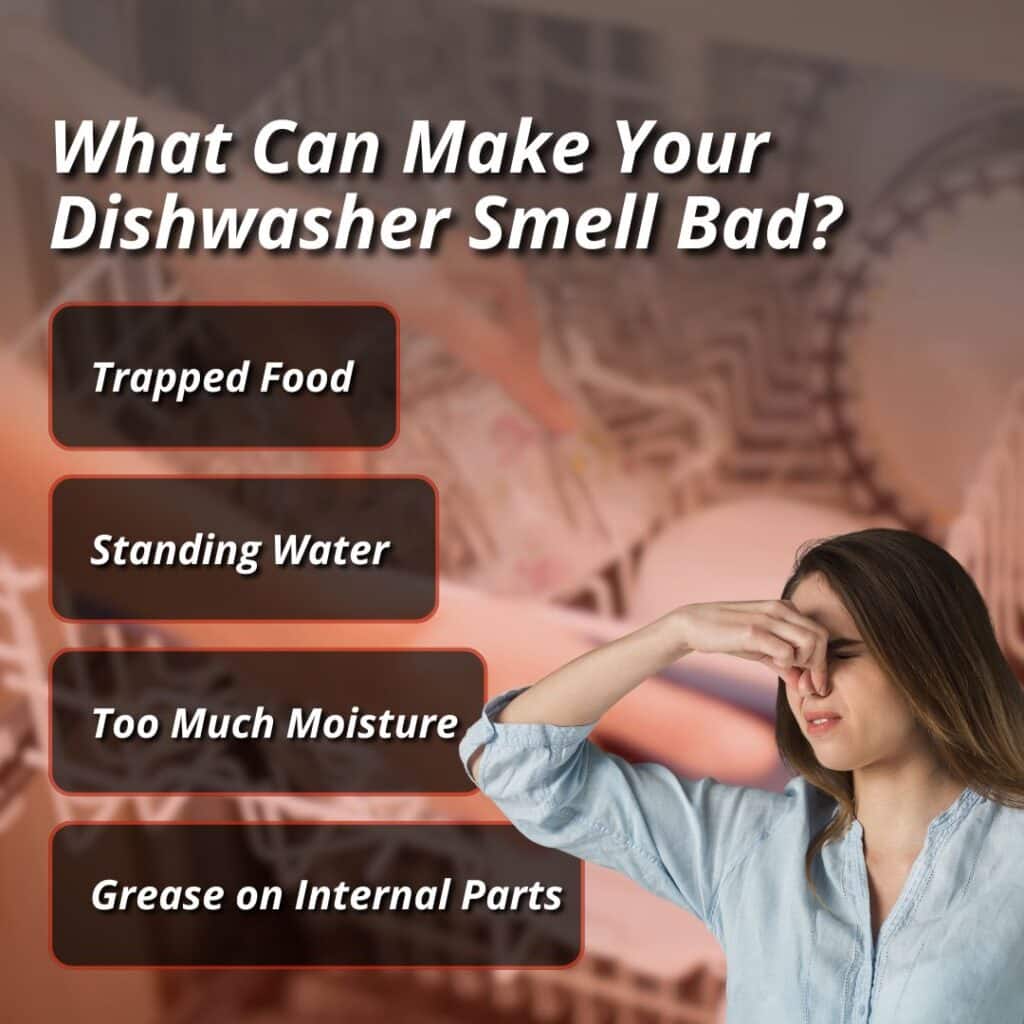 why a dishwasher smells bad