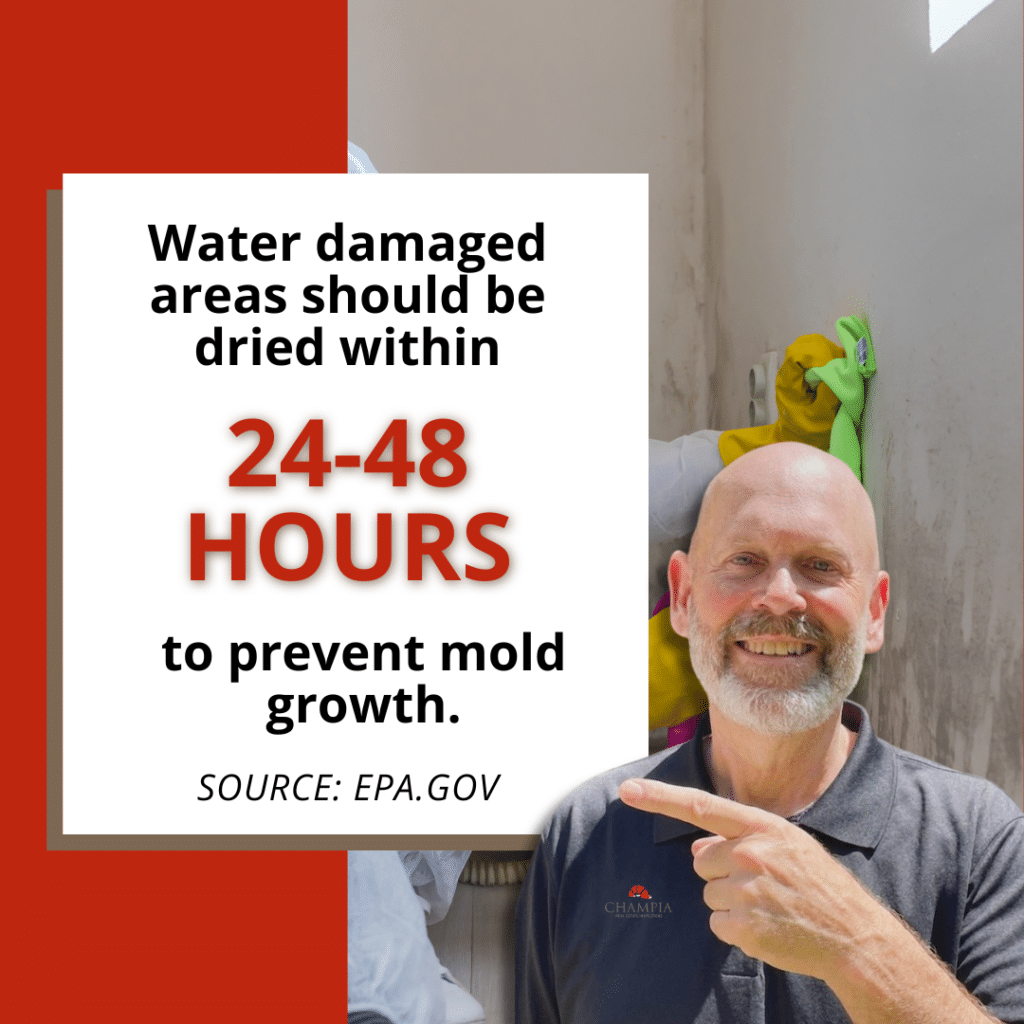 statistic about how soon water should be cleaned up to avoid mold