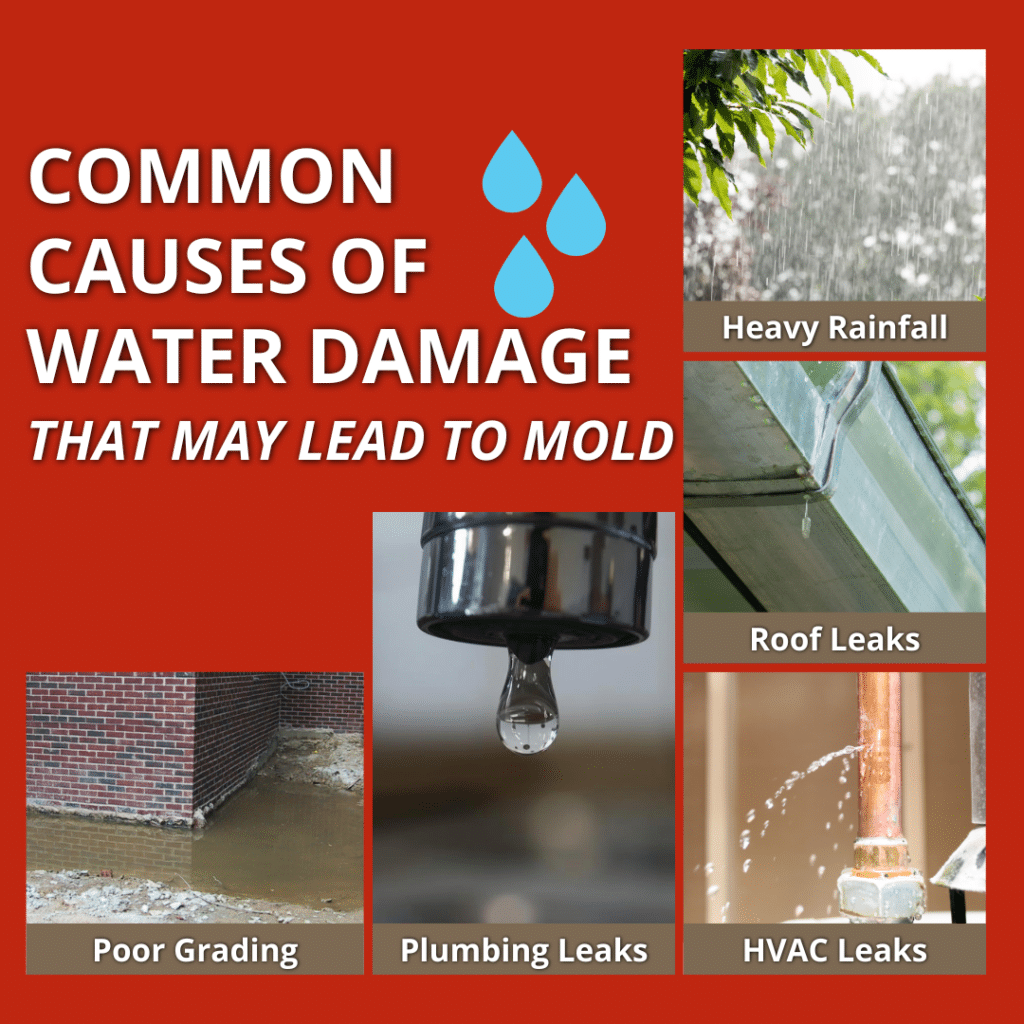 common causes of water damage that may lead to mold
