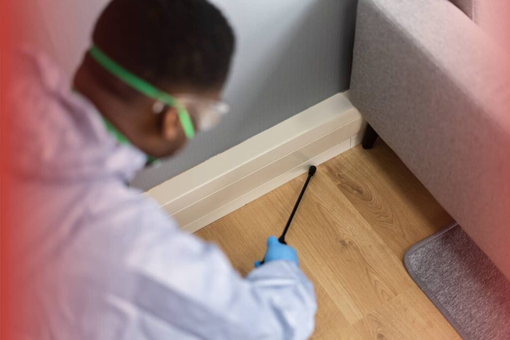 Do You Always Need a Termite Inspection for a Home Loan? 1 A pest control technician wearing protective gear and goggles sprays treatment liquid along a room's baseboards and wooden floor.