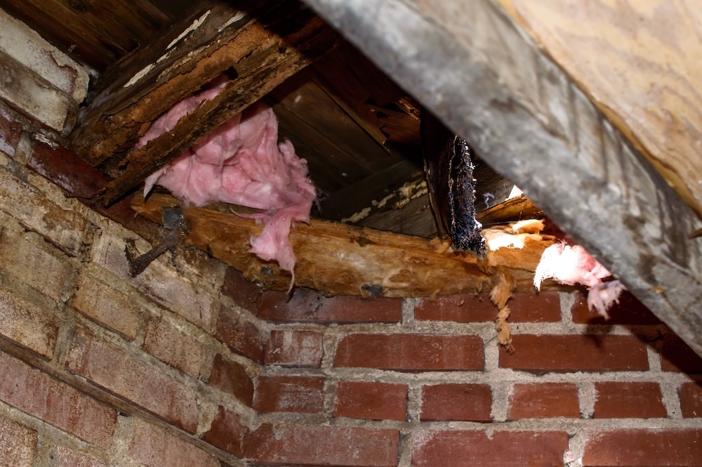 Crawlspace Moisture Severe wood rot and moisture damage in a crawl space showing decaying wooden floor joists and hanging pink insulation above a brick foundation wall.
